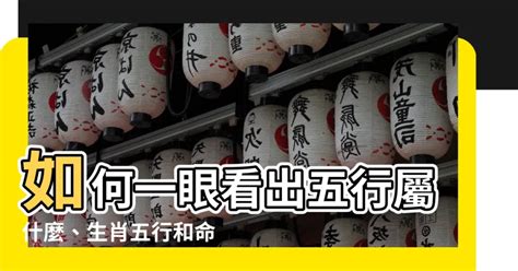 硨磲五行|【硨磲 五行】想知道自己的幸運手串嗎？快來測測你的硨磲五行。